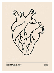Anatomical Realistic Human Heart Poster