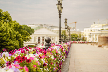 Floral walkway in Moscow with vibrant blooms and historic buildings