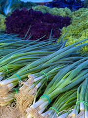 Fresh bundles of organic green onions (scallions) displayed at a local farmer’s market with various colorful leafy greens in the background. The vibrant colors, dewdrops on the vegetables