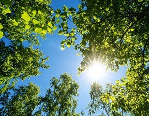 Lush green leaves frame a bright sunlit sky