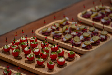 Colorful catering appetizers on rye bread: stuffed cherry tomatoes with herbs and beet-herring...