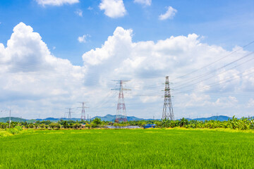 high voltage power lines on green field