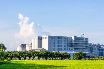Obraz premium In summer, green rice fields and factory 