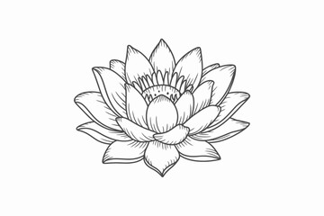 Elegant Lotus Flower Illustration in Black and White Detailed Floral Design for Coloring Pages and Creative Projects