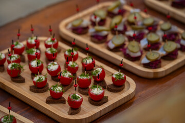 Colorful catering appetizers on rye bread: stuffed cherry tomatoes with herbs and beet-herring bites topped with pickles. Party, buffet, Nordic cuisine concept
