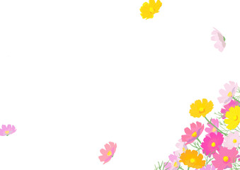 舞うコスモスのフレーム