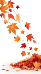 Fototapeta premium Autumn leaves falling and collecting in a pile