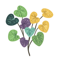 Fototapeta premium Simple hand-drawn colorful Kudzu. Trendy abstract minimal style. Natural fresh. Vector illustration isolated on white background, vector illustration, EPS format