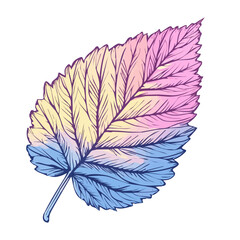 Hand-drawn painting of colorful Raspberry Leaf. Trendy abstract minimal style. Natural fresh. Vector illustration isolated on white background, vector illustration, Eps format