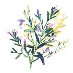 Minimal hand-drawn painting of a colorful Tarragon branch. Trendy abstract minimal style. Natural fresh. Vector illustration isolated on white background, vector illustration, Eps format