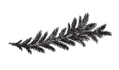 Naklejka premium Christmas tree branch hand drawn on white 