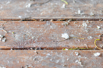 Close-up image of weathered wooden deck, uneven lighting, debris scattered, dark hue, varying...