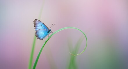 Butterfly on Green Stem with Blurred Natural Background – Peaceful Nature and Wildlife Concept