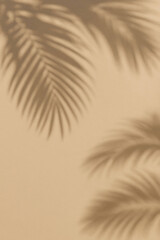 desert sand dunes