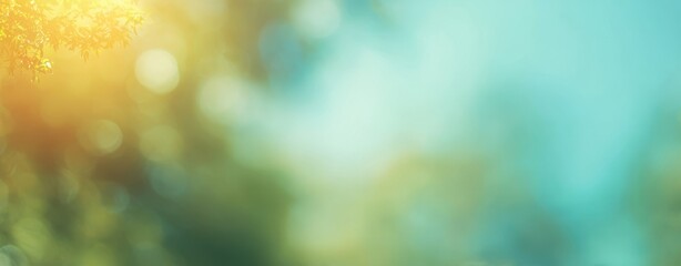 Obraz premium The serene backdrop of sunshine filtering through lush green foliage.