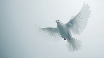 White Dove Flying Against Clear Sky Symbolizing Freedom and Peace Isolated on Pure White Background. Generative Ai