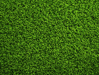 Fototapeta premium Close-up high-resolution photograph of well-manicured, short-cut golf green grass - AI-Generated