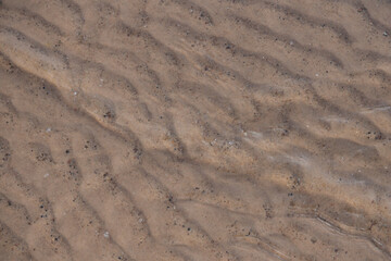 Calm Rippling Waves on a Sandy Beach Shoreline Captured in Close Detail