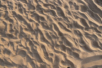 Close-Up of Rippled Sand Patterns on a Sunlit Desert Landscape