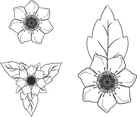 Set of Hand-Drawn Floral Sketches with Leaves,Detailed Black and White Flower and Leaf Illustrations, Creative and Stylized Botanical Line Art,Elegant Blossom Sketches, Vector Set