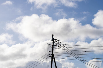 電柱と空のあいだ