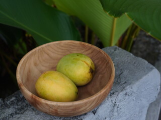 Two fresh mangoes in a wooden bowl placed on a stone surface with tropical green leaves in the background. Natural summer vibe, healthy tropical fruit concept.