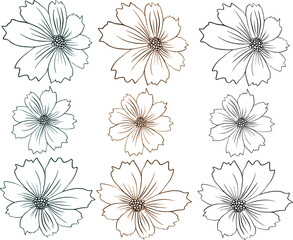 Set of Hand-Drawn Daisy Flowers, Vector Illustration, Creative Floral Design Elements Collection, Stylized Botanical Sketch, Graphic Icons, Floral Pattern and Decoration, Meadow Flowers.