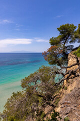 Cliffs with pine trees and turquoise sea near Kassandra,