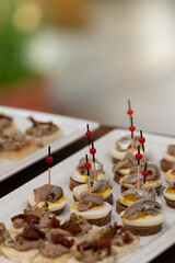 Gourmet canapés with anchovy and egg on rye bread. Elegant catering setup featuring assorted savory appetizers, pâté bites, and sun-dried tomatoes.