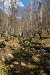 Waterfall in a forest on mountain. Called Tupavica waterfall on old mountain (stara planina) near the village Dojkinci in Serbia. A low angle shot of the Waterfall Tupavica in Serbia.

