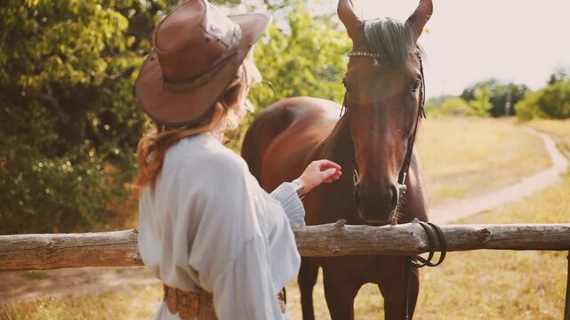 happy woman cowgirl with horse, hand touches strokes horse's muzzle head, back rear view. field nature summer day sun light flare. sexy girl blonde hair fly in wind blow. dress hat wild west style 4k.