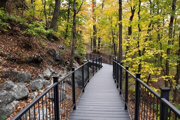 Fototapeta premium Autumn Forest Boardwalk with Black Railings