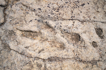 Trace, Dinosaure, alligaurus, Megalossaurus, Mongisty, Montjaux, 12, Aveyron, France