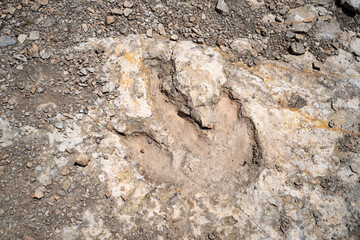 Trace, Dinosaure, alligaurus, Megalossaurus, Mongisty, Montjaux, 12, Aveyron, France