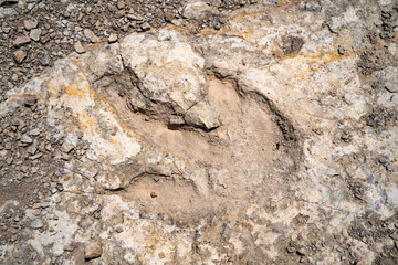 Trace, Dinosaure, alligaurus, Megalossaurus, Mongisty, Montjaux, 12, Aveyron, France