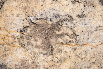 Trace, Dinosaure, alligaurus, Megalossaurus, Mongisty, Montjaux, 12, Aveyron, France