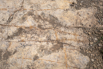 Trace, Dinosaure, alligaurus, Megalossaurus, Mongisty, Montjaux, 12, Aveyron, France