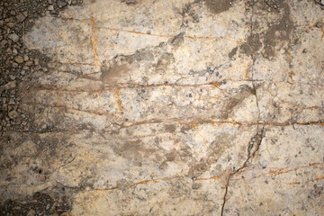 Trace, Dinosaure, alligaurus, Megalossaurus, Mongisty, Montjaux, 12, Aveyron, France