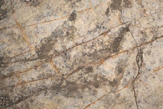 Trace, Dinosaure, alligaurus, Megalossaurus, Mongisty, Montjaux, 12, Aveyron, France