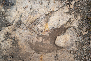 Trace, Dinosaure, alligaurus, Megalossaurus, Mongisty, Montjaux, 12, Aveyron, France