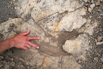 Trace, Dinosaure, alligaurus, Megalossaurus, Mongisty, Montjaux, 12, Aveyron, France