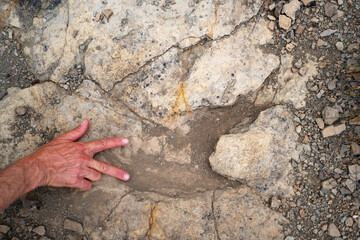 Trace, Dinosaure, alligaurus, Megalossaurus, Mongisty, Montjaux, 12, Aveyron, France