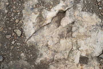 Trace, Dinosaure, alligaurus, Megalossaurus, Mongisty, Montjaux, 12, Aveyron, France