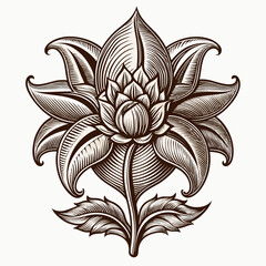 vector illustration of a flower