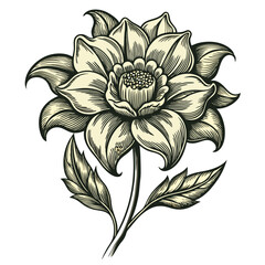 vector illustration of a flower