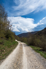 An unpaved road that passes through mountainous areas and forests. A winding dirt country road. A winding dirt road through the forest. The road leads into the mountains.