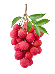 Lychee cluster isolate on white.