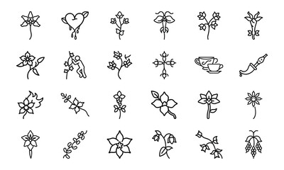 Minimal Feminine Botanical Flower Line Art Icon Bundle 24 Elegant Floral, Herbal, and Womb Illustrations for Feminist, Wellness, and Nature-Inspired Design