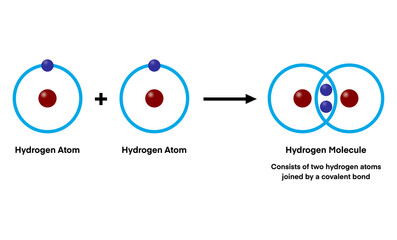Two hydrogen atoms combine to form a hydrogen molecule through a covalent bond, sharing electrons to achieve stability and create the simplest diatomic molecule in nature