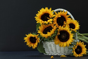 Sunflowers in a basket on a black background, bouquet of flowers, summer, free space, gift, presents, flowers, day, holiday